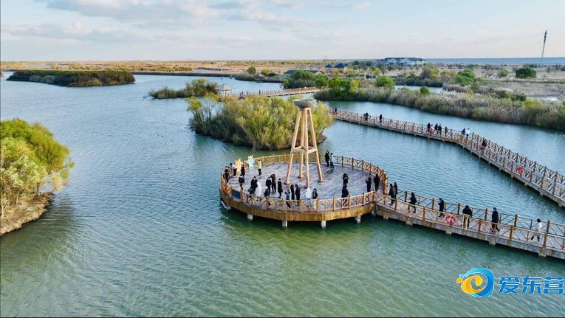 的策略让他 的策略让他